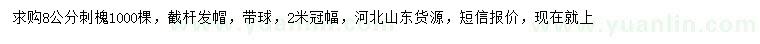 求购8公分刺槐