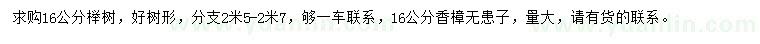 求购榉树、香樟、无患子