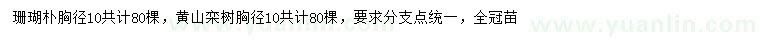 求购胸径10公分珊瑚朴、黄山栾树