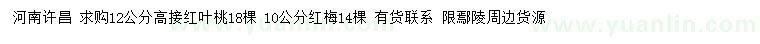 求购12公分高接红叶桃、10公分红梅