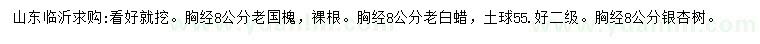 求购老国槐、老白蜡、银杏