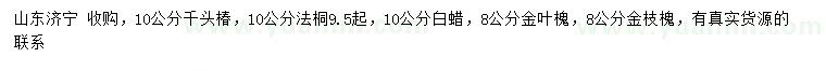 求购千头椿、法桐、白蜡等