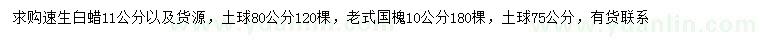 求购11公分以上速生白蜡、10公分老式国槐