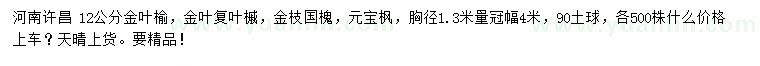 求购金叶榆、金叶复叶槭、金枝国槐等