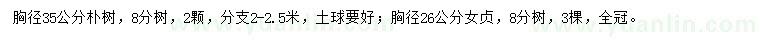 求购胸径26、35公分朴树