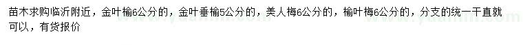 求购金叶榆、金叶垂榆、美人梅等