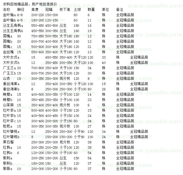 求购金叶榆、丛生五角枫、国槐等