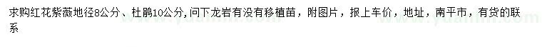 求购地径8公分红花紫薇、10公分杜鹃