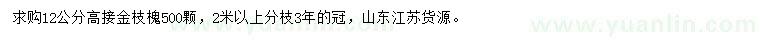 求购12公分高接金枝槐