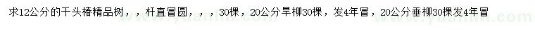 求购千头椿、旱柳、垂柳