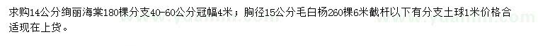 求购14公分绚丽海棠、胸径15公分毛白杨