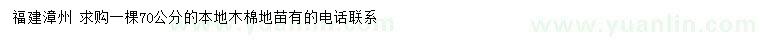 求购70公分本地木棉地苗