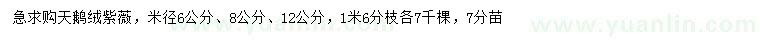 求购米径6、8、12公分天鹅绒紫薇
