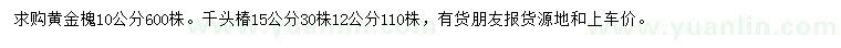 求购10公分黄金槐、12、15公分千头椿