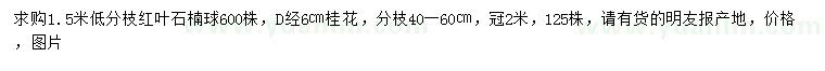 求购1.5米红叶石楠球、地径6公分桂花