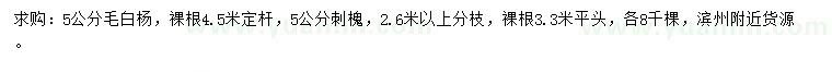 求购5公分毛白杨、刺槐