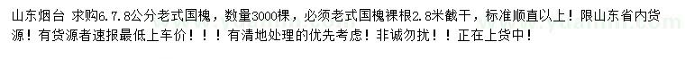 求购6、7、8公分老式国槐