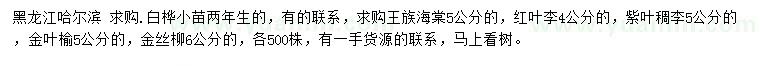 求购白桦小苗、王族海棠、红叶李等