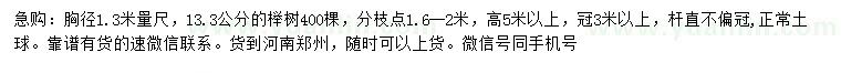 求购1.3米量胸径13.3公分榉树