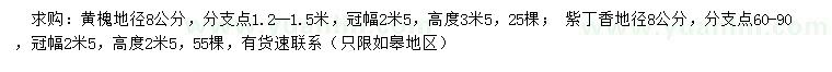 求购地径8公分黄槐、紫丁香