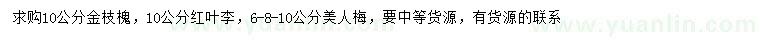 求购金枝槐、红叶李、美人梅