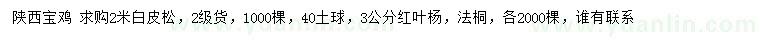 求购白皮松、红叶杨、法桐