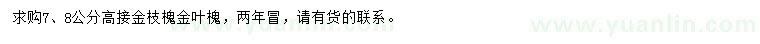 求购7、8公分高接金枝槐、金叶槐