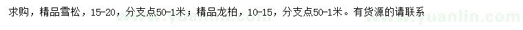 求购15-20公分精品雪松、10-15公分龙柏