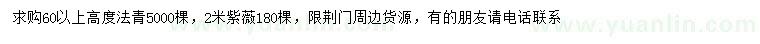 求购高度60公分以上法青、2米紫薇