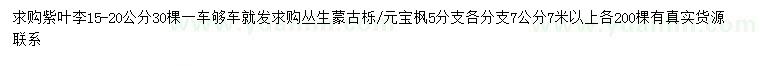 求购紫叶李、丛生蒙古栎、元宝枫