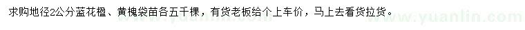 求购地径2公分蓝花楹、黄槐