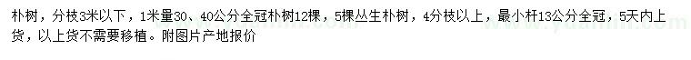 求购1米量30、40公分全冠朴树