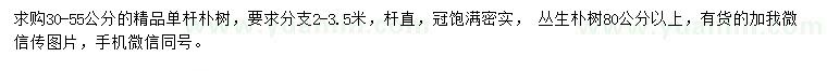 求购30-55公分朴树、80公分以上丛生朴树