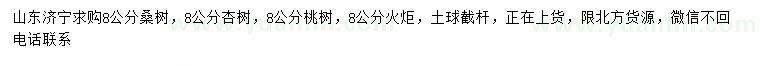 求购桑树、杏树、桃树等