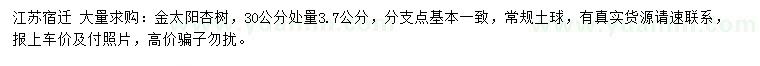 求购30公分处量3.7公分金太阳杏树