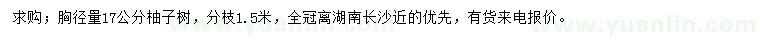 求购胸径17公分柚子树