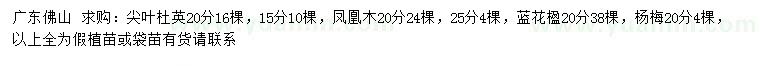 求购尖叶杜英、凤凰木、蓝花楹等