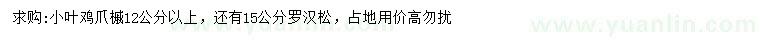 求购12公分以上小叶鸡爪槭、15公分罗汉松