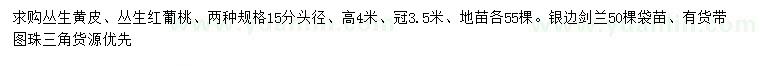 求购丛生黄皮、丛生红葡桃、银边剑兰