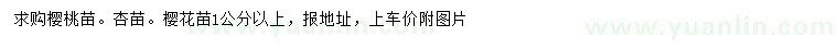 求购1公分以上樱桃苗、杏苗、樱花苗