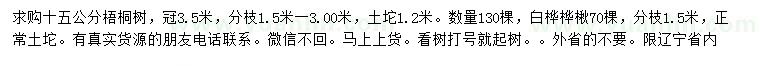 求购梧桐树、白桦