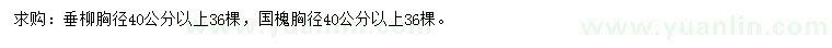 求购胸径40公分以上垂柳、国槐