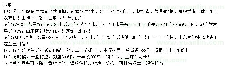 求购法桐、晚樱、红叶碧桃等