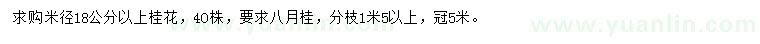 求购米径18公分以上桂花