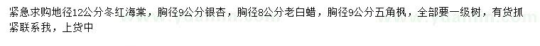 求购冬红海棠、银杏、老白蜡等