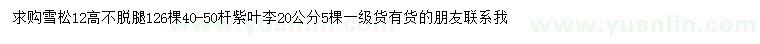 求购高12米雪松、20公分紫叶李