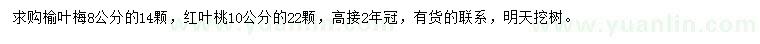 求购8公分榆叶梅、10公分红叶桃