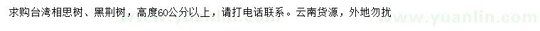 求购高60公分以上台湾相思树、黑荆树