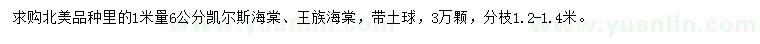 求购1米量6公分凯尔斯海棠、王族海棠