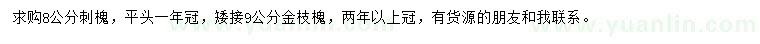 求购8公分刺槐、9公分矮接金枝槐
